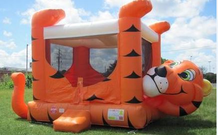 JUM - Standard - Tiger Belly #02