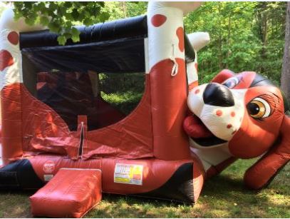 JUM - Standard - Beagle Belly #01