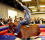 EXT - Mechanical Bull #03 +