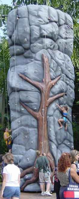 EXT - Rock Wall 25' - 5 Climber Gray